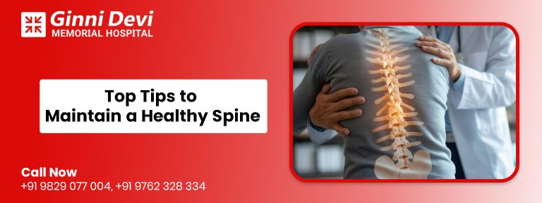 Top Tips to Maintain a Healthy Spine