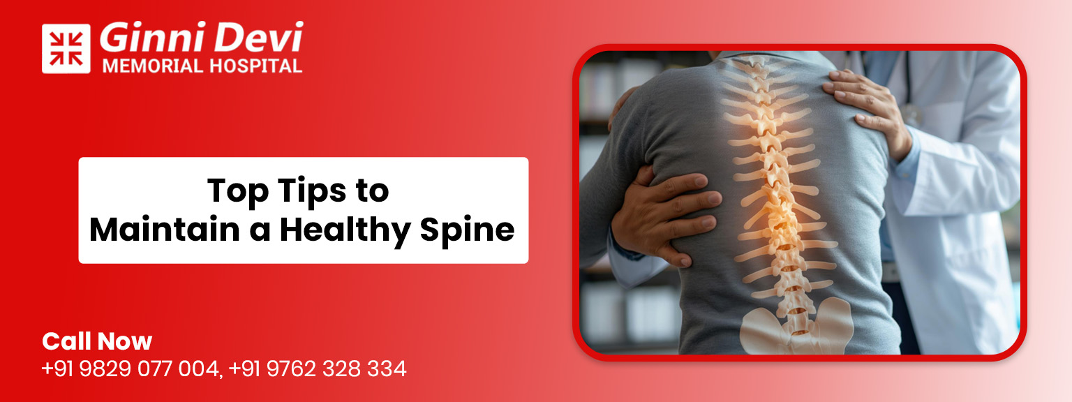 Top Tips to Maintain a Healthy Spine