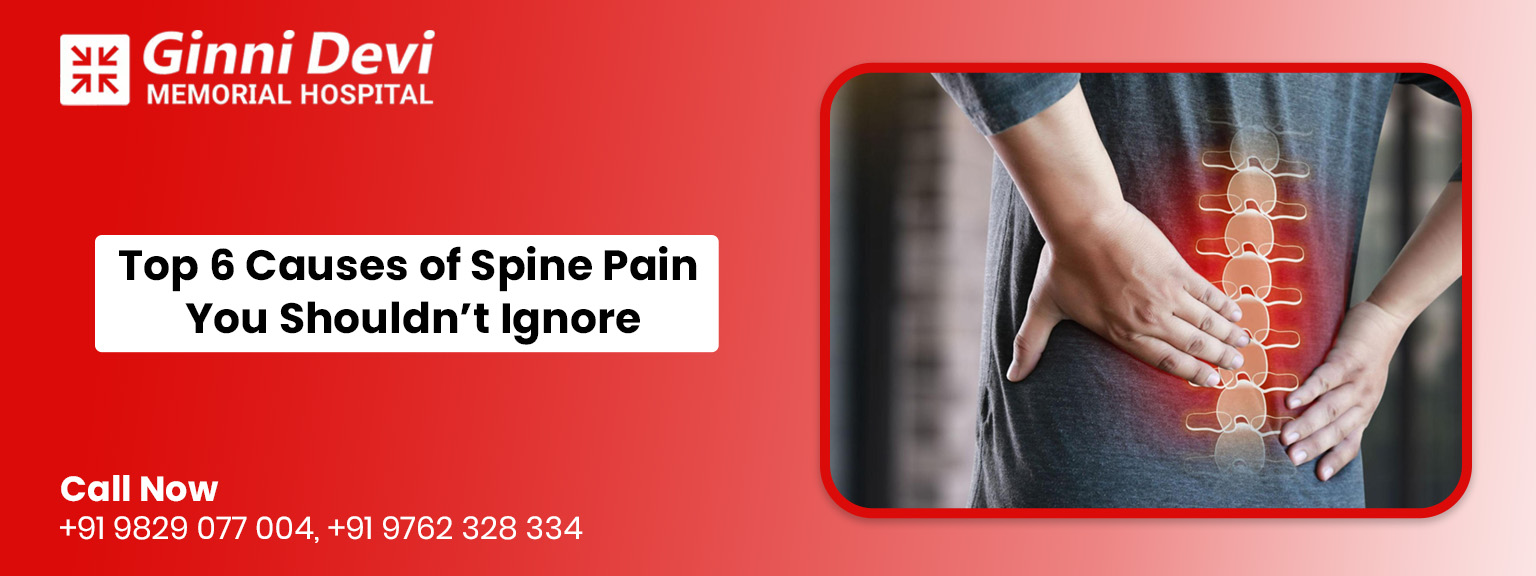 Causes of Spine Pain